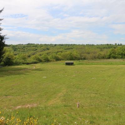 Img 0315 copie 1